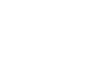 /main/logo-tintinland.png